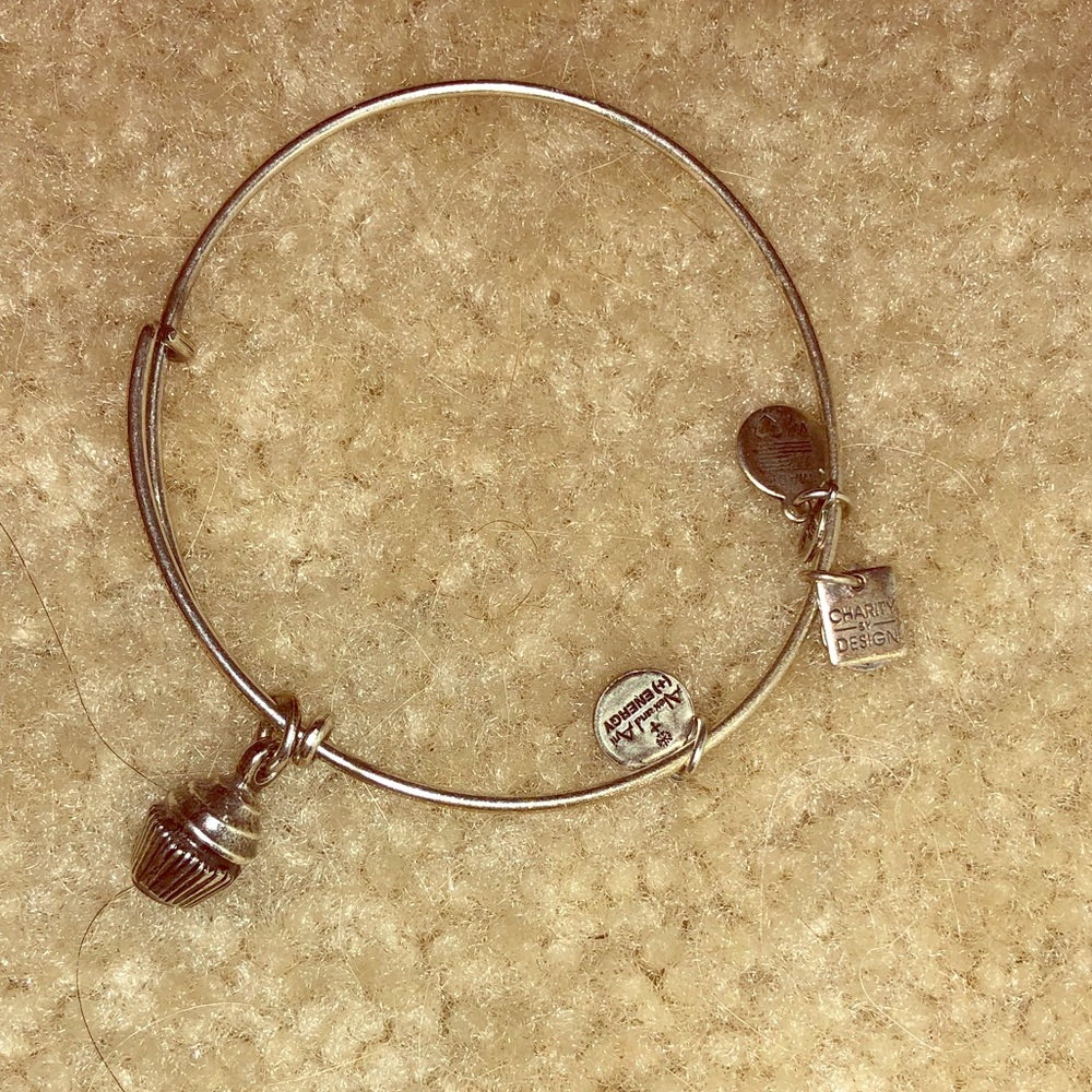 Alex and ani cupcake